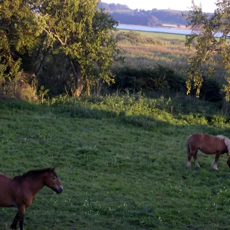 Hiddensee * Groß Zicker